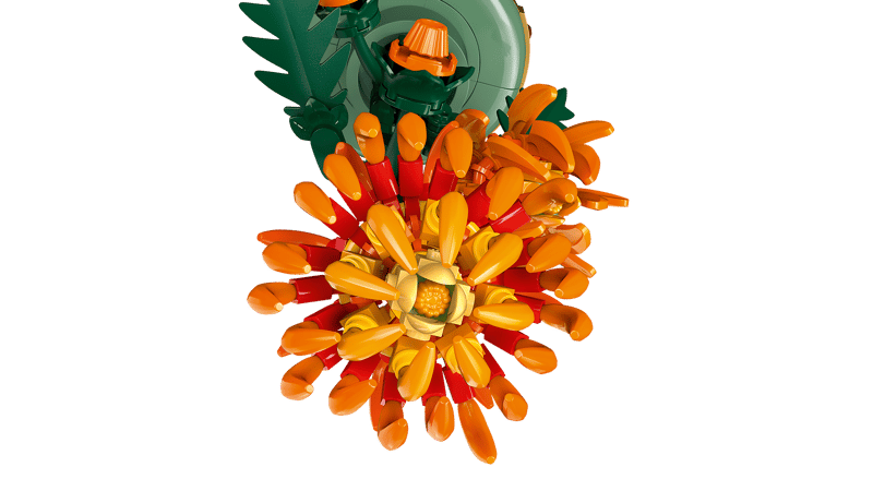 Chrysanthemum parts and design