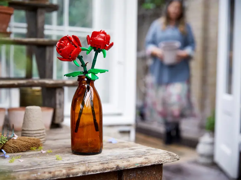Roses 40460 display